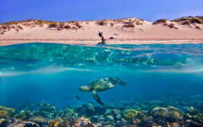 Tortuga Dafni Bay Villas Diver's Paradise by 